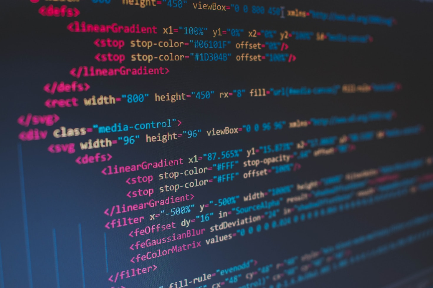 The Role of Custom Software in Business Growth